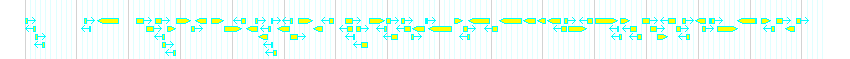 Genes detail