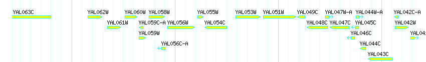 Genes detail