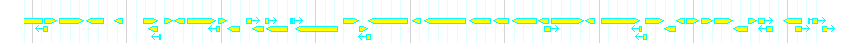 Genes detail