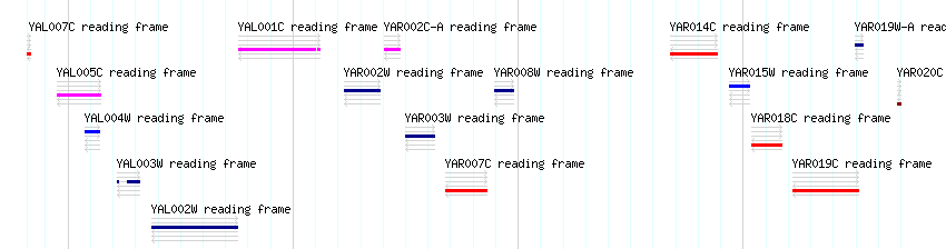 CDS detail