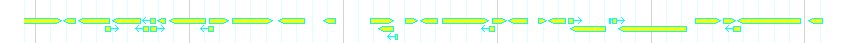 Genes detail