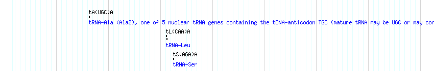 tRNAs detail