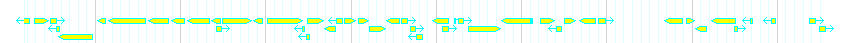 Genes detail