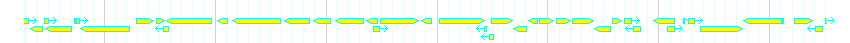 Genes detail
