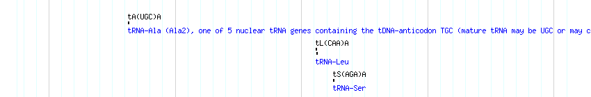 tRNAs detail