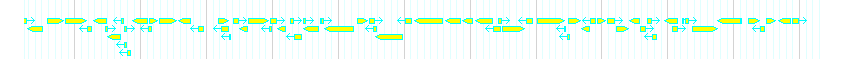 Genes detail