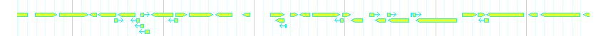 Genes detail