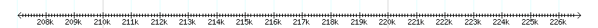 __scale__ detail