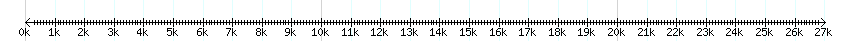 __scale__ detail