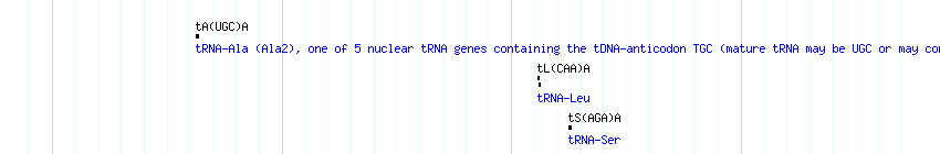 tRNAs detail