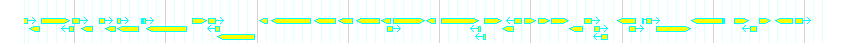 Genes detail