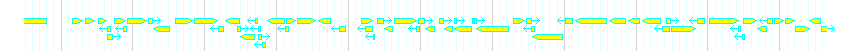 Genes detail