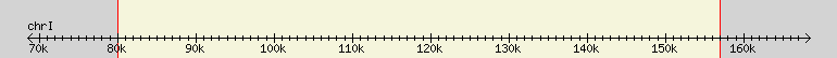 __scale__ region