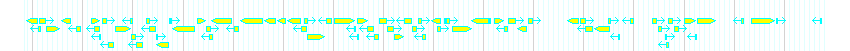 Genes detail
