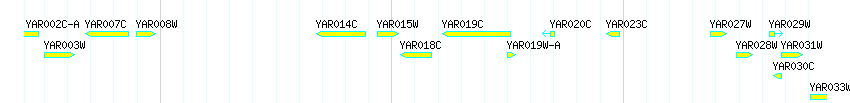 Genes detail