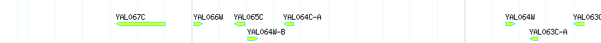 Genes detail