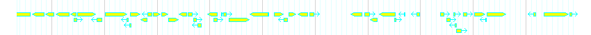 Genes detail