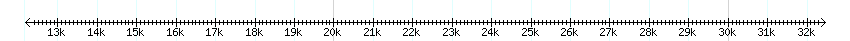 __scale__ detail