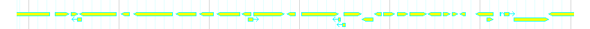 Genes detail