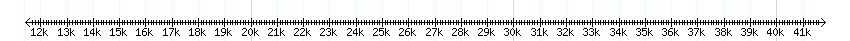 __scale__ detail