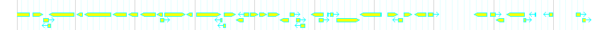 Genes detail