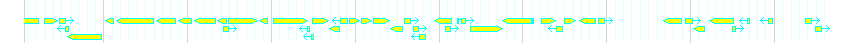 Genes detail