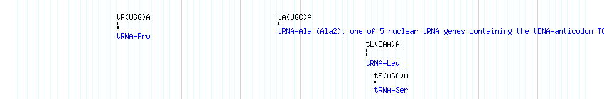tRNAs detail
