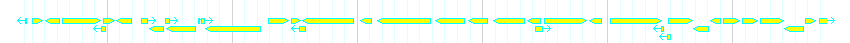 Genes detail