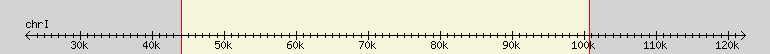 __scale__ region