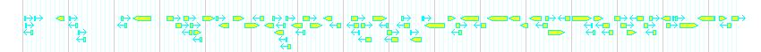 Genes detail