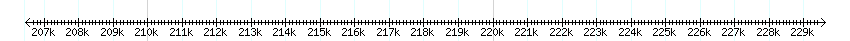 __scale__ detail