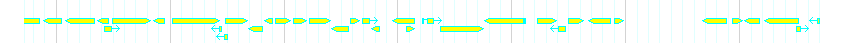 Genes detail