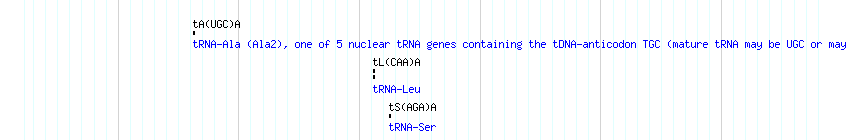 tRNAs detail