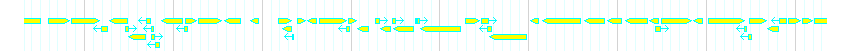Genes detail