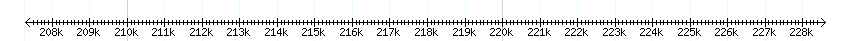 __scale__ detail