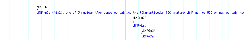 tRNAs detail