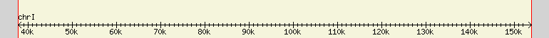 __scale__ region