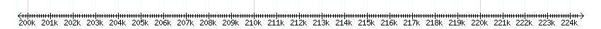 __scale__ detail