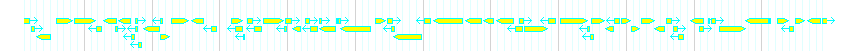 Genes detail
