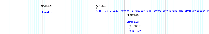 tRNAs detail