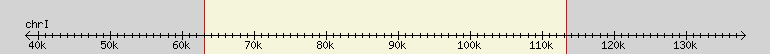 __scale__ region