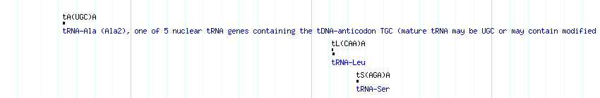 tRNAs detail