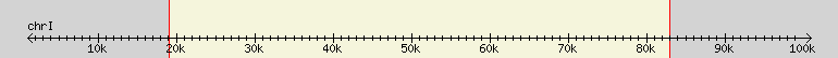 __scale__ region