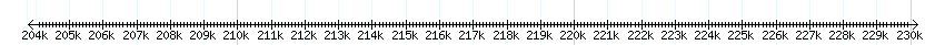 __scale__ detail