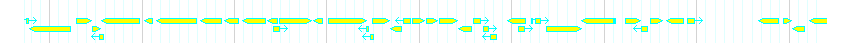Genes detail