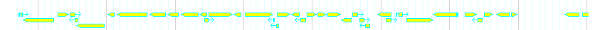 Genes detail