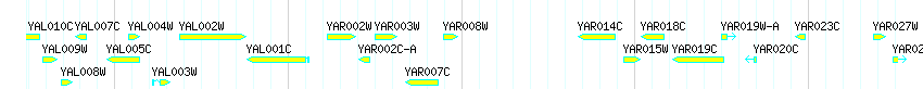 Genes detail