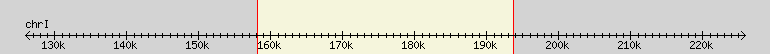 __scale__ region