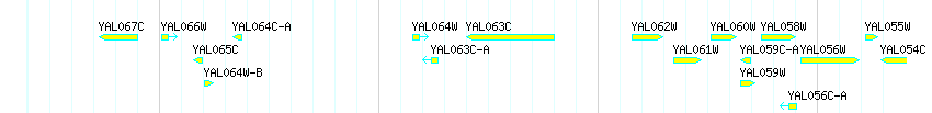 Genes detail
