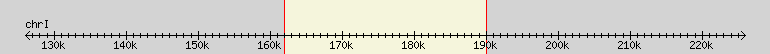__scale__ region